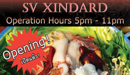 Xindard Flyer