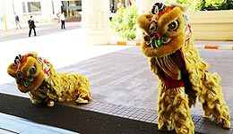 Chinese New Year in Savan Vegas